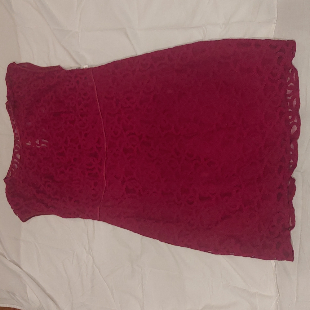 Roz & Ali Fuchsia Lace Dress Size 18 W
